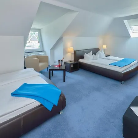 Park-hotel Hotel Traben-Trarbach