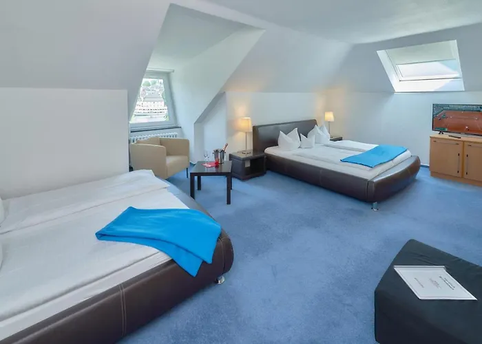 Park-hotel Hotel Traben-Trarbach